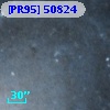 [PR95] 50824
