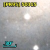 [PR95] 50315