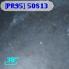 [PR95] 50813