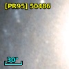 [PR95] 50486