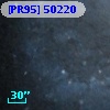 [PR95] 50220