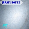 [PR95] 50532