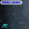 [PR95] 50303
