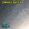 [PR95] 50753