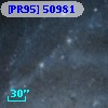 [PR95] 50981