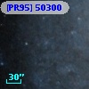 [PR95] 50300