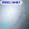 [PR95] 50487
