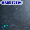 [PR95] 50310