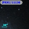 [PR95] 51130