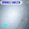 [PR95] 50529