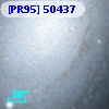 [PR95] 50437