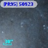 [PR95] 50823