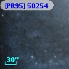 [PR95] 50254