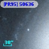 [PR95] 50636