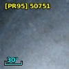 [PR95] 50751