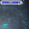 [PR95] 50901