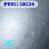 [PR95] 50534