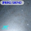 [PR95] 50742