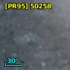 [PR95] 50258