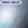 [PR95] 50539