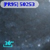 [PR95] 50253