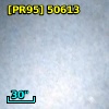 [PR95] 50613