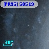[PR95] 50519