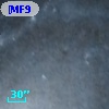 [MF97] M 81 15