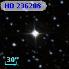 HD 236208
