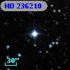 HD 236210