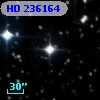 HD 236164