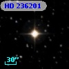 HD 236201