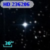 HD 236206