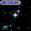 HD 236207