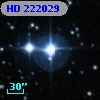 HD 222029