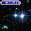 HD 236181