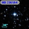 HD 236184