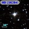 HD 236204
