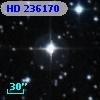 HD 236170
