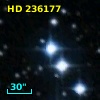 HD 236177