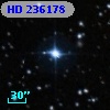 HD 236178