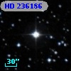 HD 236186