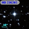 HD 236202