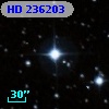 HD 236203