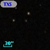 TXS 1009+703