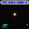 TYC 4384-1000-1
