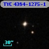 TYC 4384-1275-1