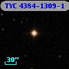 TYC 4384-1309-1