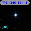 TYC 4386-604-1
