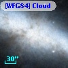 [WFG84] Cloud